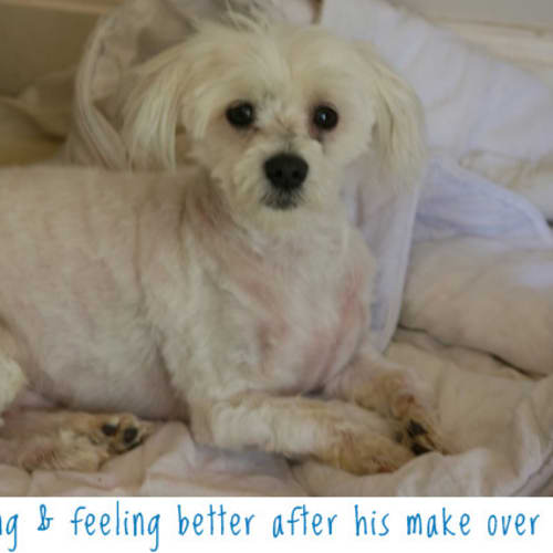 No photo for Matty   On Hold