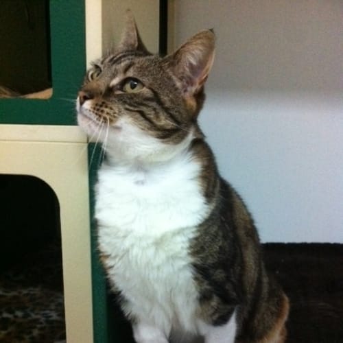 No photo for Ellie C09011