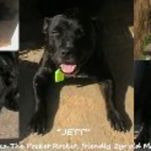 No photo for Jett