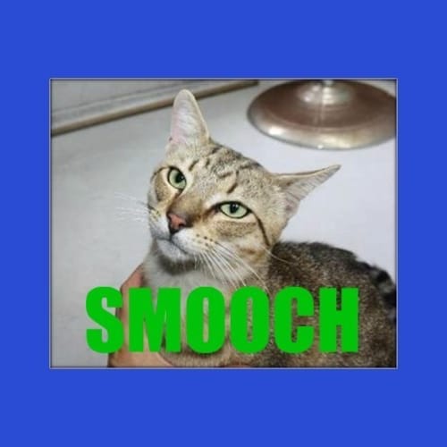 No photo for Smoochy