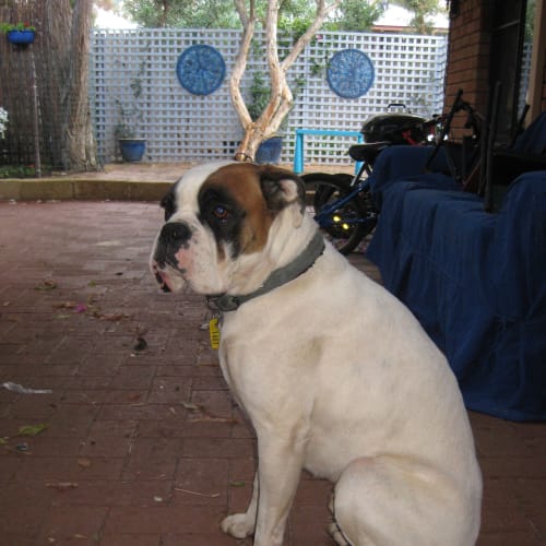 Monty "Is Trialing A New Family"