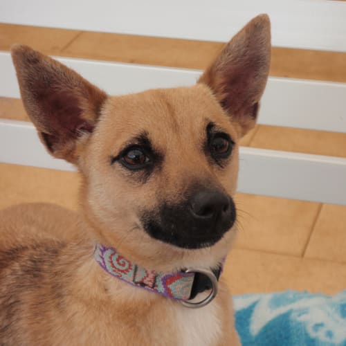 Evita