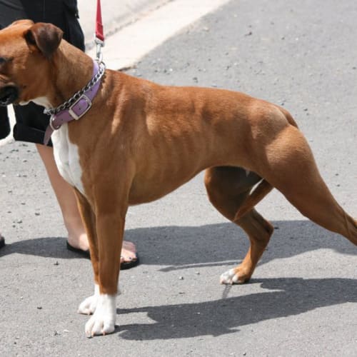 No photo for Princess