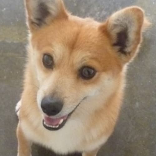 No photo for Nauticus 717812