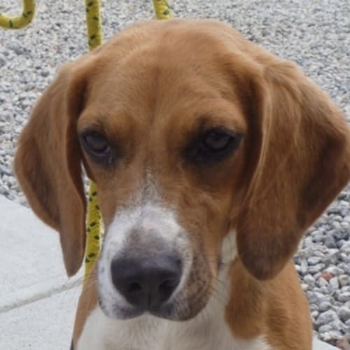 No photo for Cura 718270