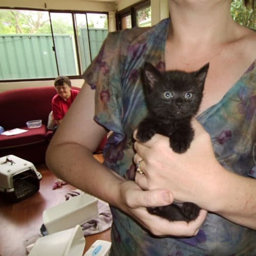 No photo for Butterscotch And Luna