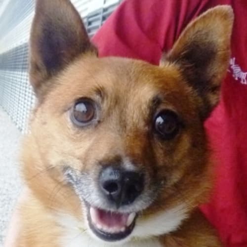 No photo for Taxi 717948