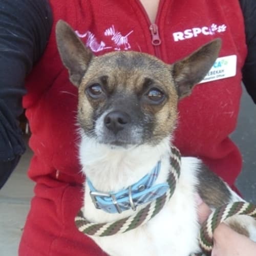 No photo for Hercules 712045