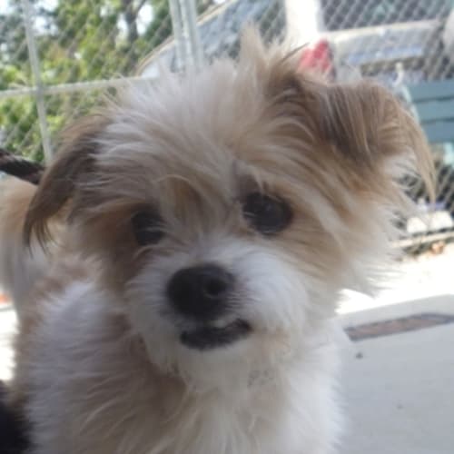 No photo for Eddie 716522