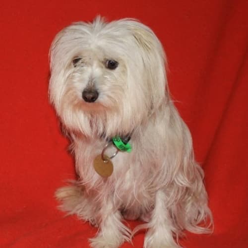 No photo for Charlotte