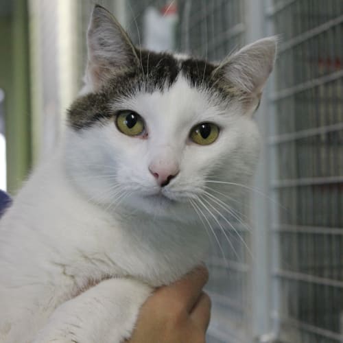 No photo for Camy