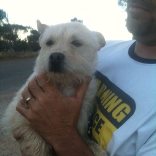No photo for Toto Av374