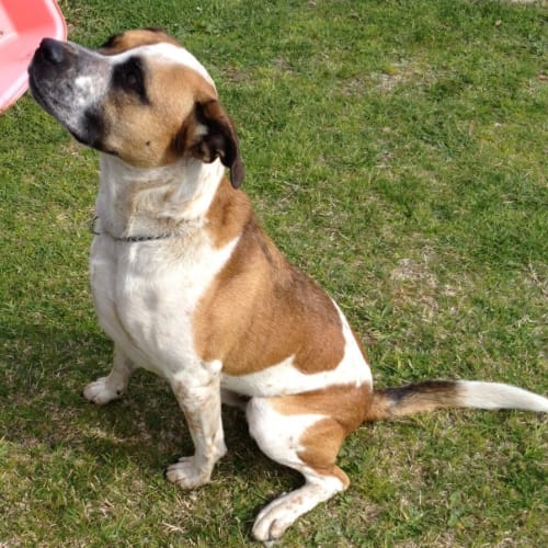 No photo for Snoop *On Trial In His New Home*