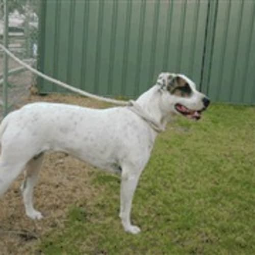 No photo for Sweet Girl In Pound Wednesday Deadline