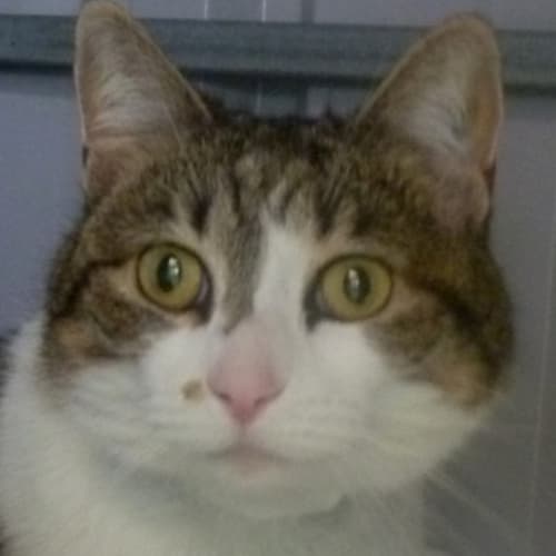 No photo for Jessie 715136