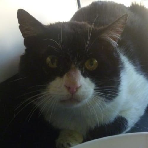 No photo for Ralf 448783