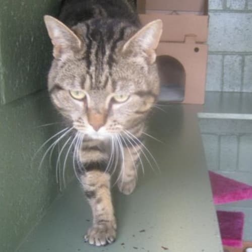 No photo for Neil 719086