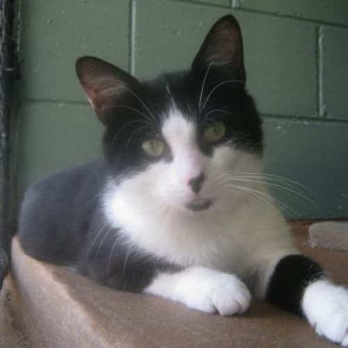 No photo for Otto 717626