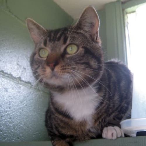 No photo for Daffyd 719923