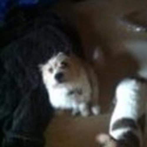 No photo for **On Trial With New Family** Max