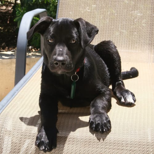 No photo for **On Trial With New Family** Nula