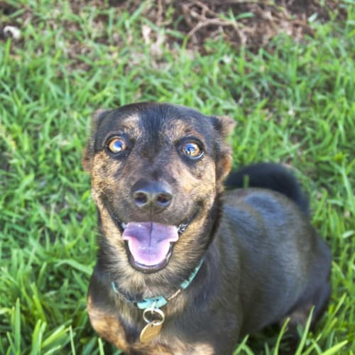 No photo for Lala Hd098