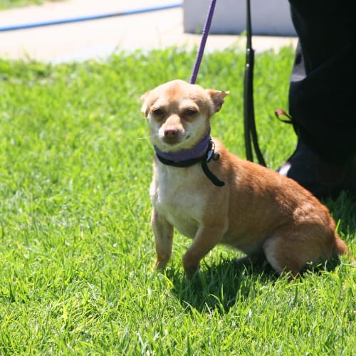 No photo for 1258 Pen 41