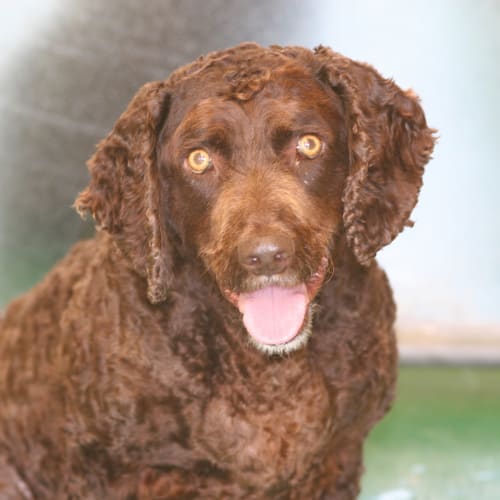 No photo for 1311 Pen 78