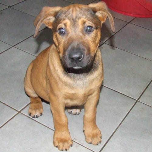 No photo for Truly Scrumptious "On Hold"