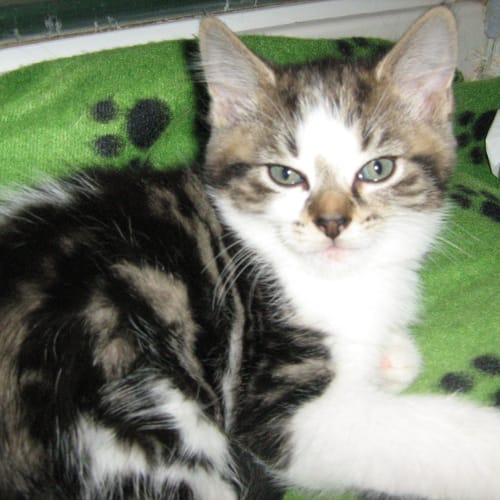 No photo for Leonard