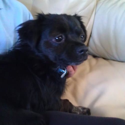 No photo for Beyonce