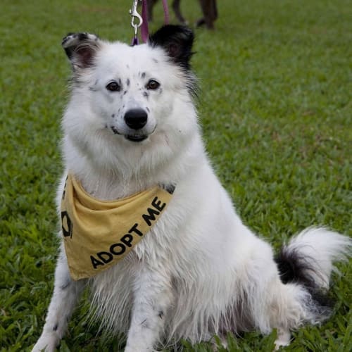 No photo for Casper *On Trial With My New Family*