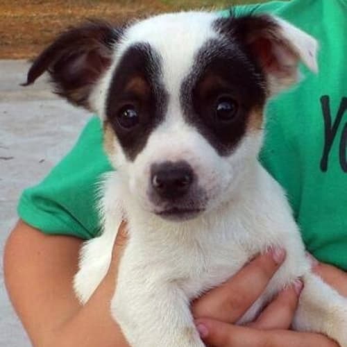 No photo for **On Trial With My New Family** Luigi