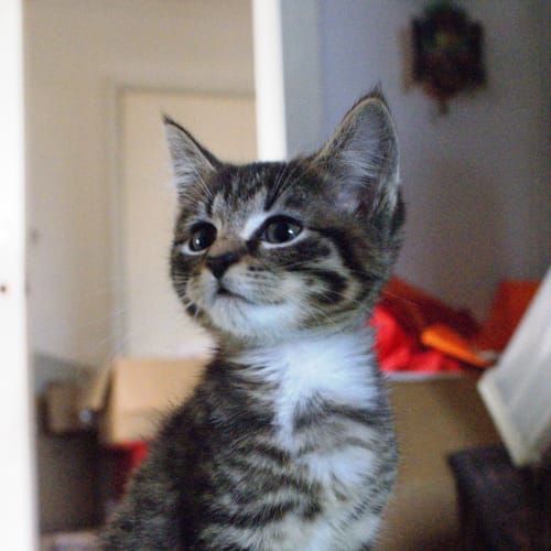 No photo for Diego**No More Applications Please**