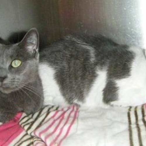 No photo for Zoe & Shay