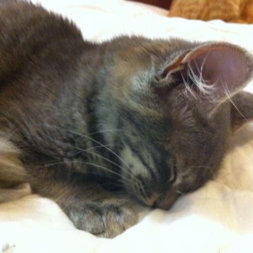 No photo for **Expressions Of Interest Welcome** Lovely