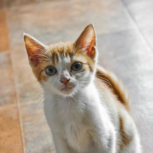 No photo for Florence