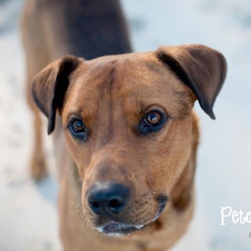 No photo for *On Trial* Mack