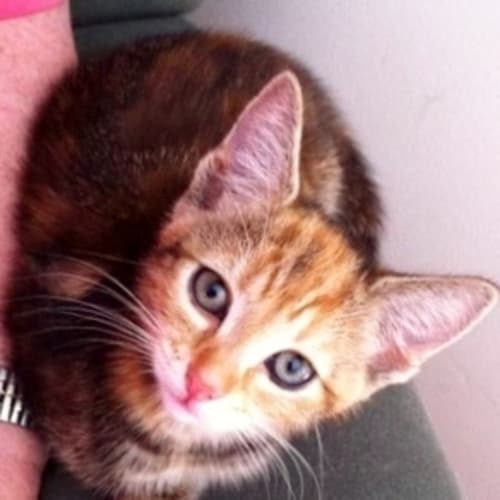 No photo for Princess