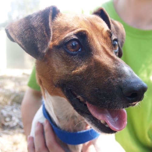 No photo for Jackson