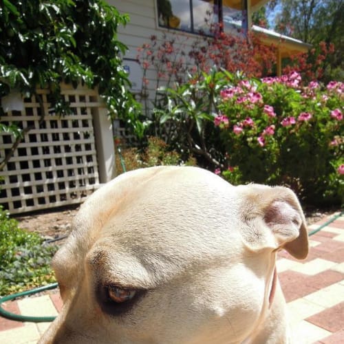 No photo for Suzie