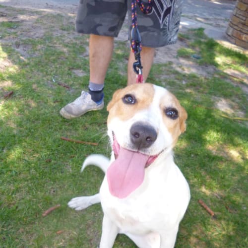 No photo for Sharlie