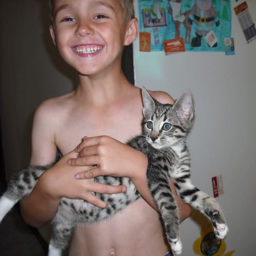 No photo for Jet (Cav120) *On Trial*