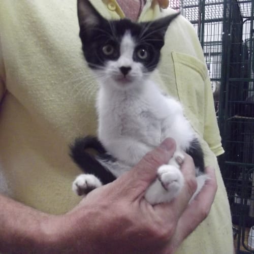 No photo for Frankie