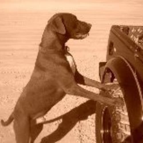 No photo for Jackson