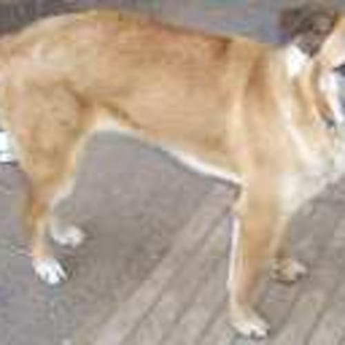 No photo for Branden