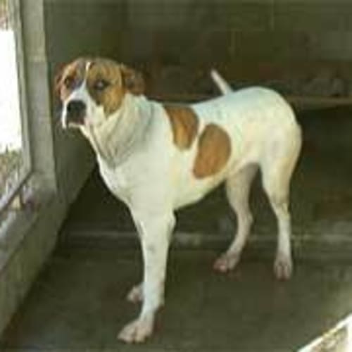 No photo for Roger (Now Known As Tilly)