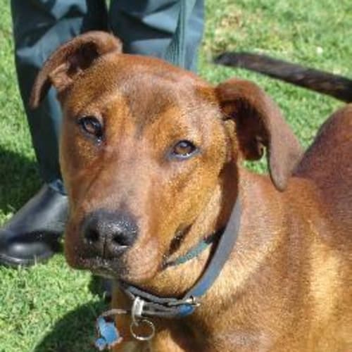 No photo for Jelly #0488