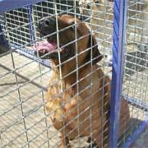 No photo for Bronson