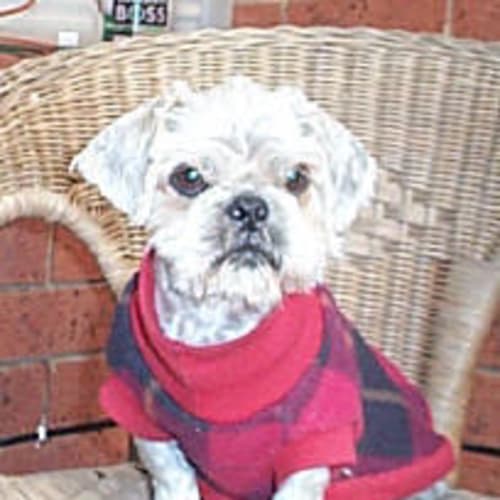 No photo for Ronald Mac